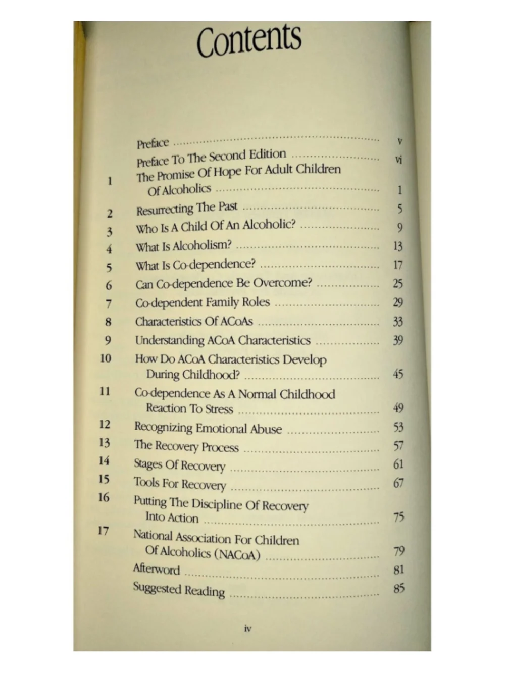 A Primer on Adult Children of Alcoholics by Timmen L. Cermak, M.D.